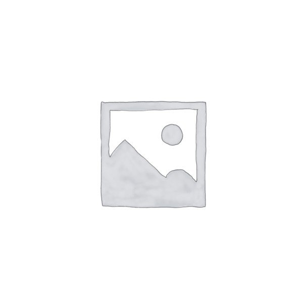 BATERIA SECA LANTERNA LEO