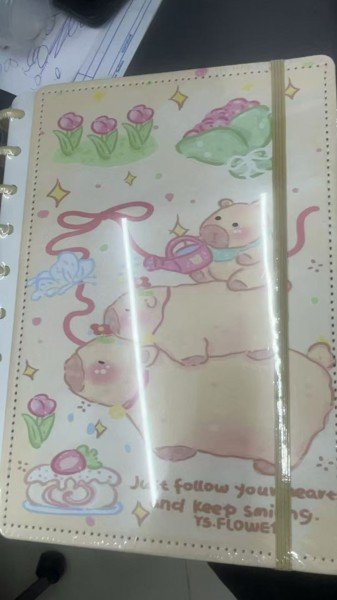 caderno