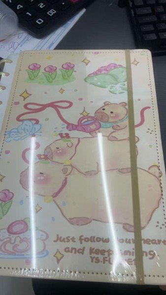 caderno