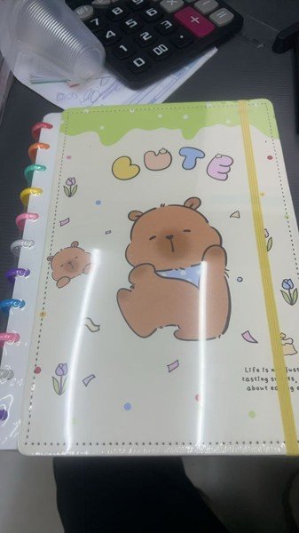caderno