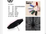 guarda chuva - Imagem 2